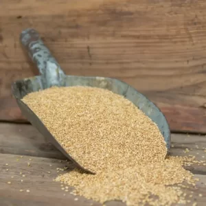 Barnyard millet