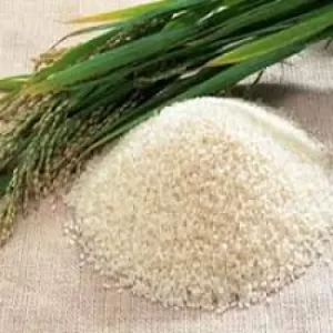 nattu ponni rice