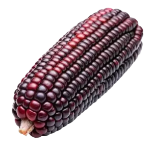 red corn