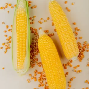 white corn